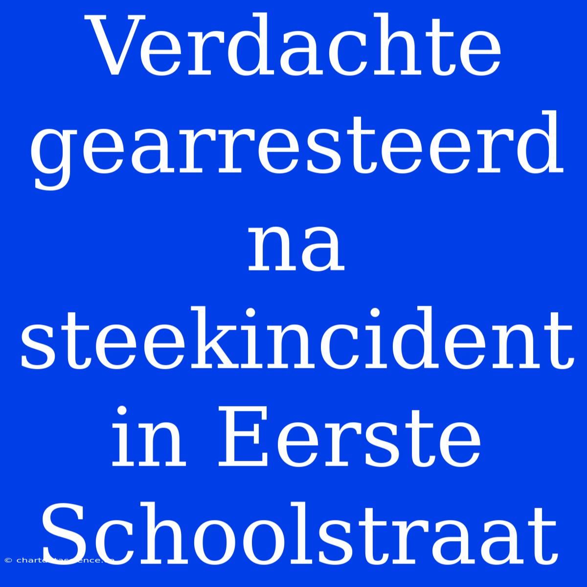 Verdachte Gearresteerd Na Steekincident In Eerste Schoolstraat