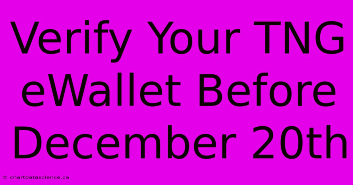 Verify Your TNG EWallet Before December 20th