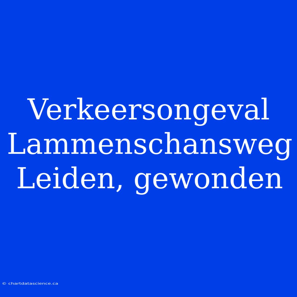 Verkeersongeval Lammenschansweg Leiden, Gewonden