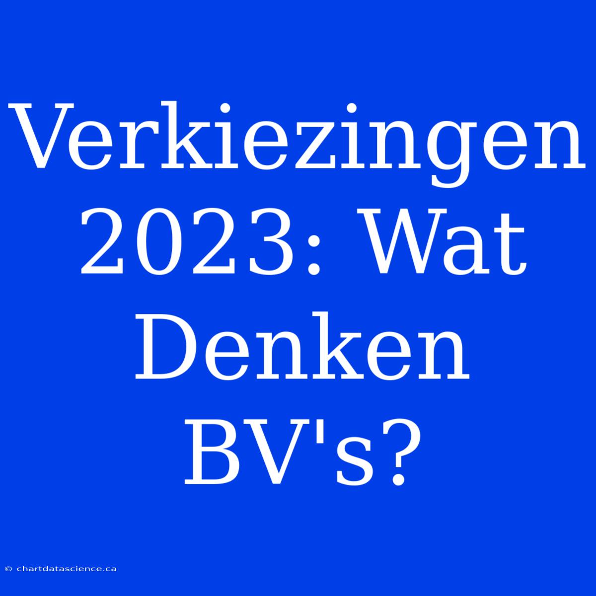 Verkiezingen 2023: Wat Denken BV's?