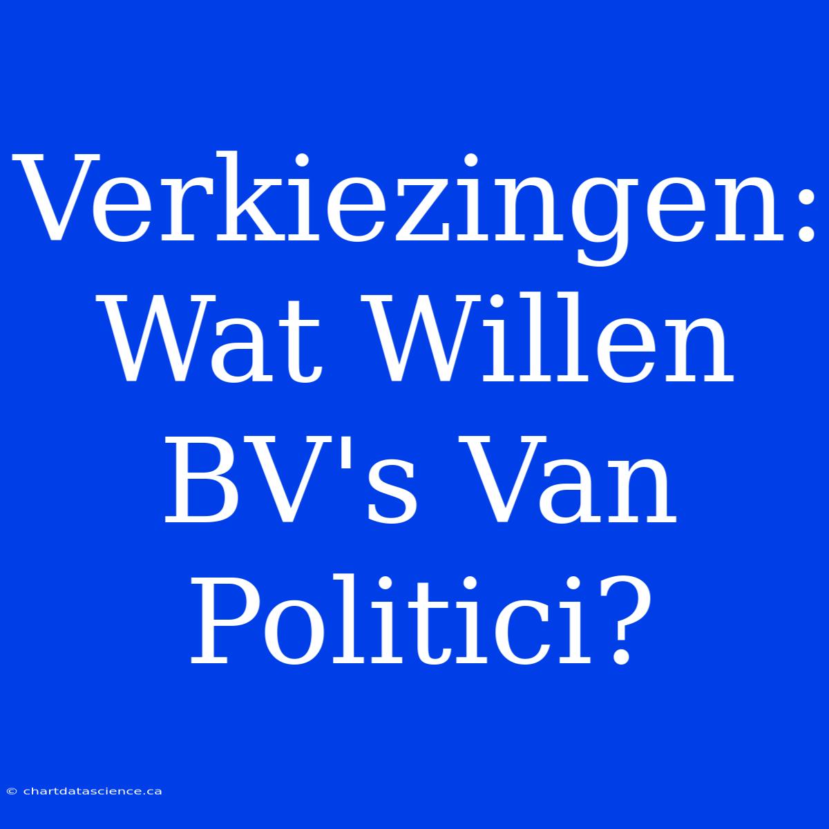 Verkiezingen: Wat Willen BV's Van Politici?