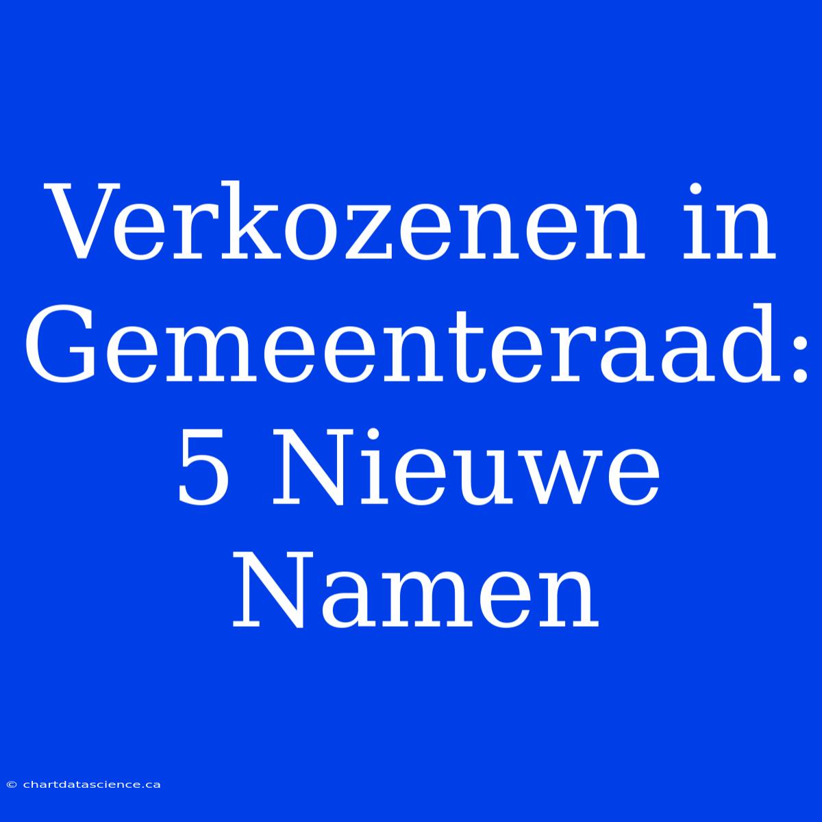 Verkozenen In Gemeenteraad: 5 Nieuwe Namen