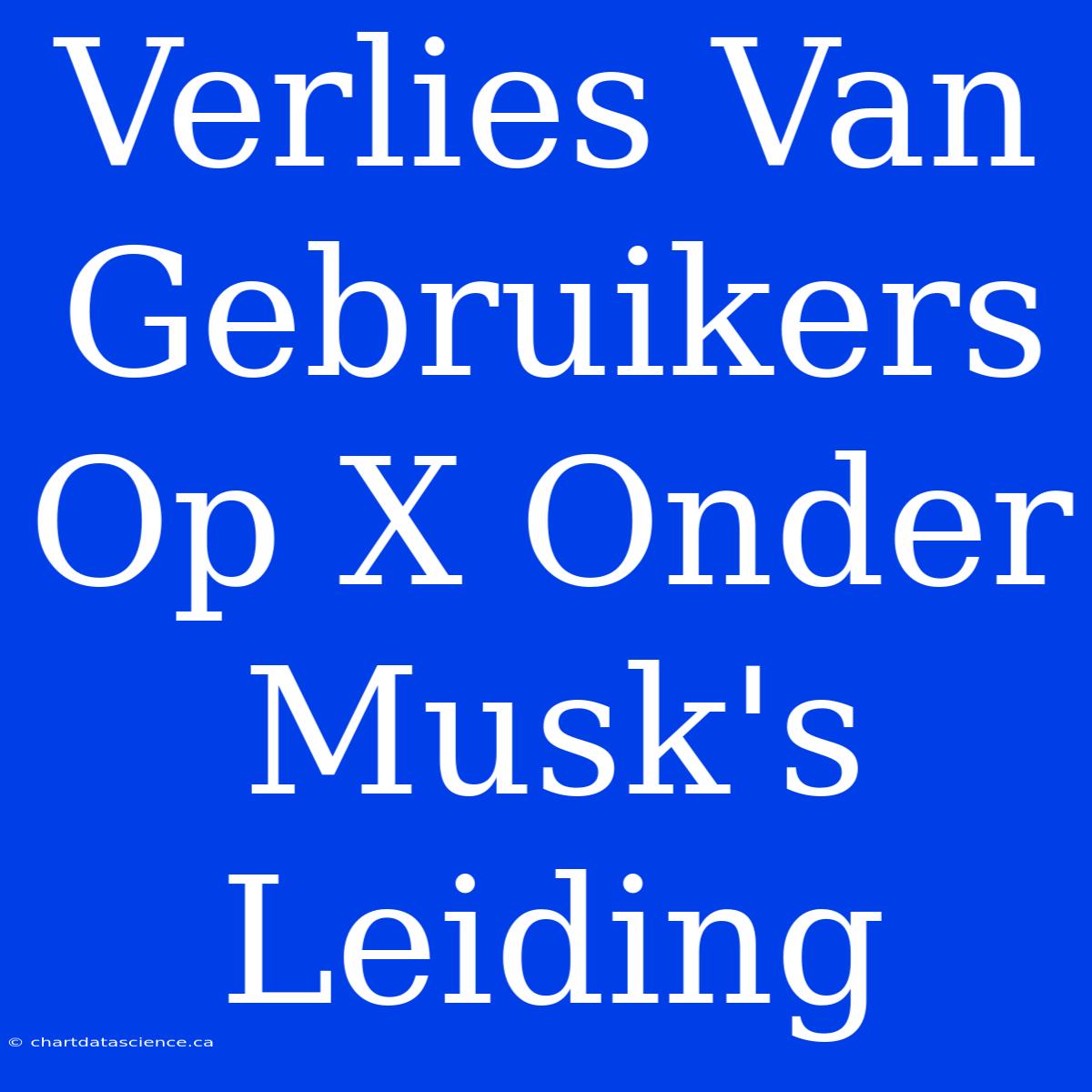 Verlies Van Gebruikers Op X Onder Musk's Leiding