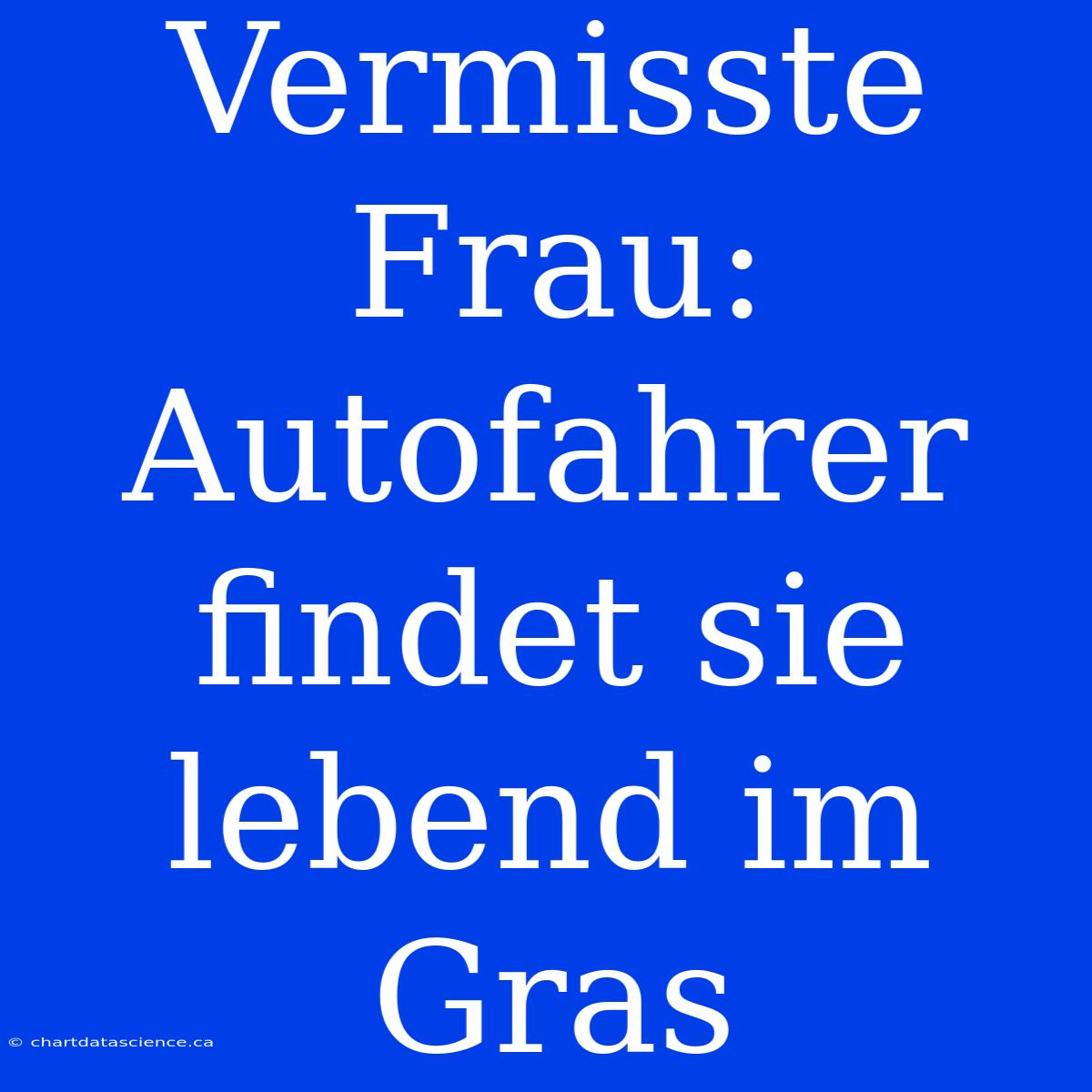 Vermisste Frau: Autofahrer Findet Sie Lebend Im Gras