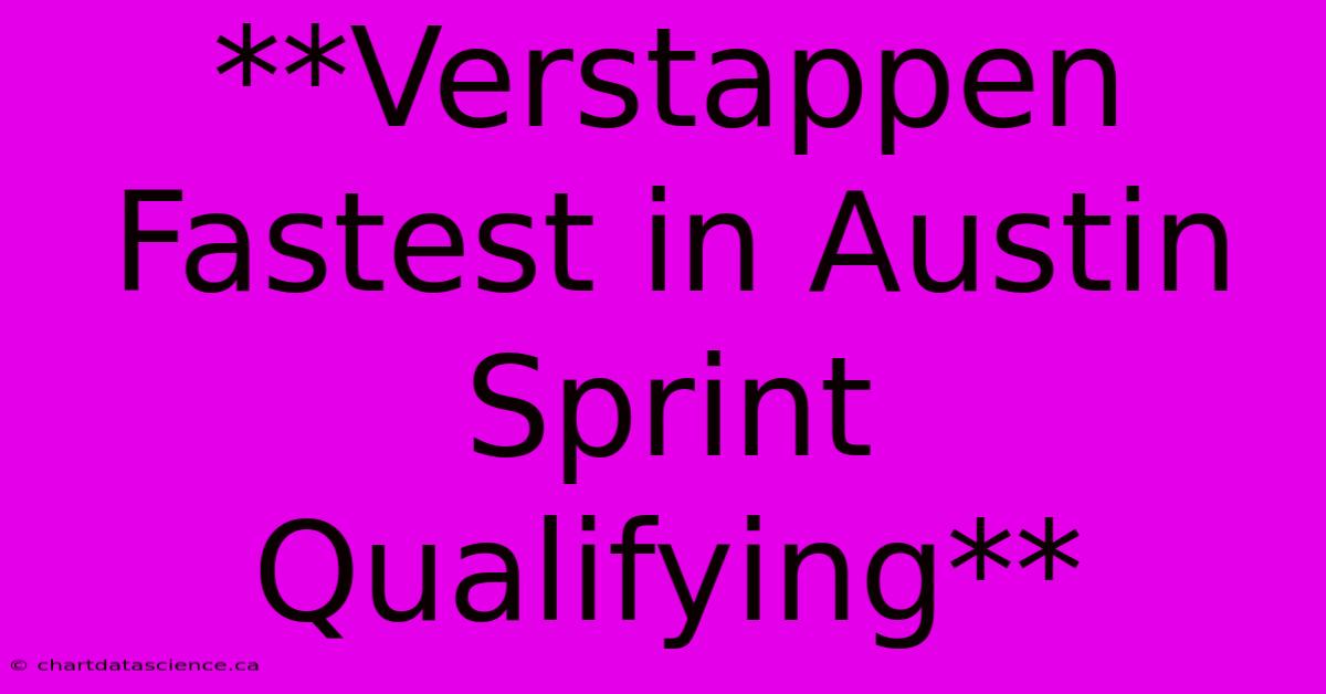 **Verstappen Fastest In Austin Sprint Qualifying**