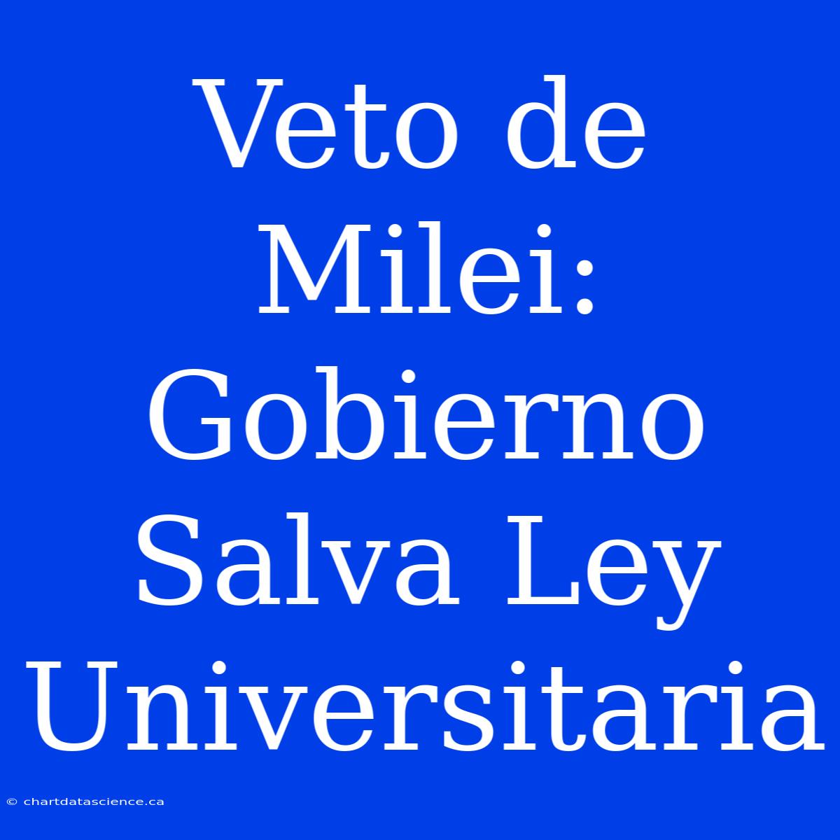 Veto De Milei: Gobierno Salva Ley Universitaria