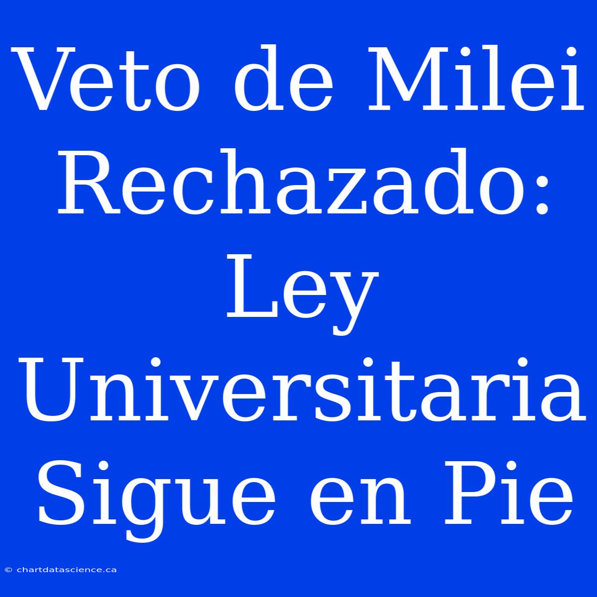 Veto De Milei Rechazado: Ley Universitaria Sigue En Pie