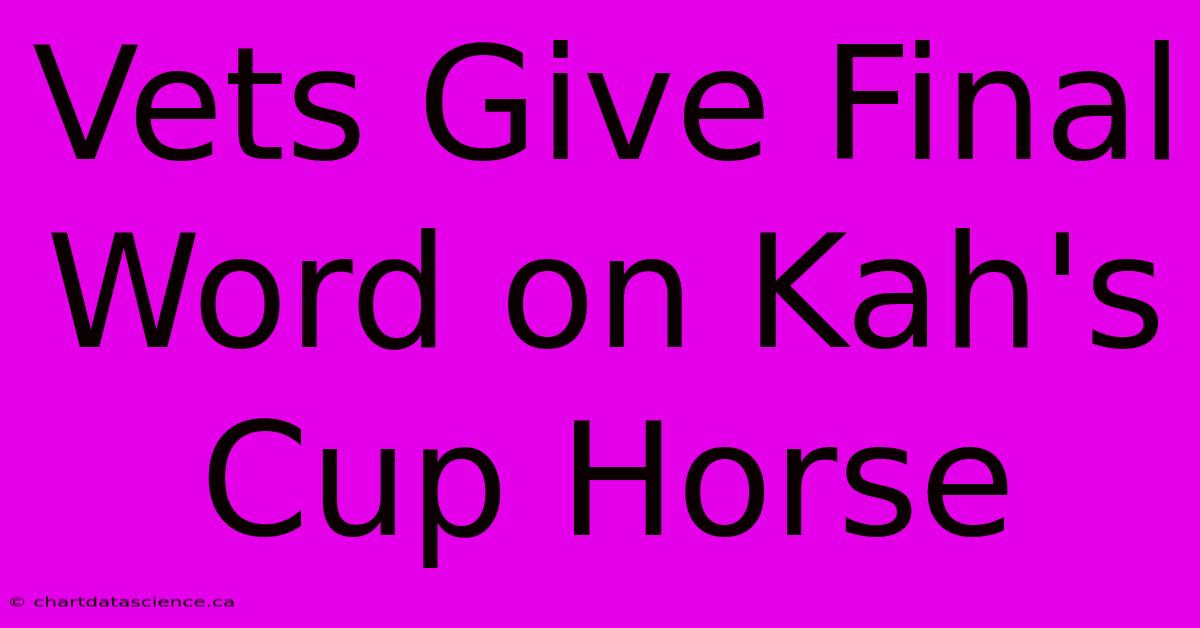 Vets Give Final Word On Kah's Cup Horse