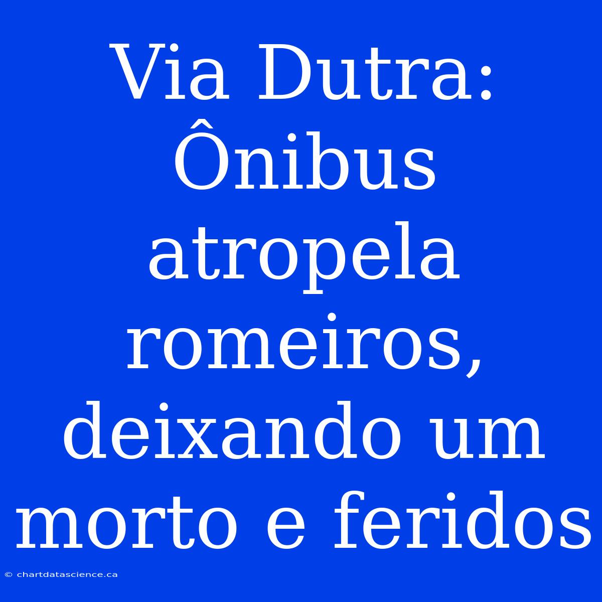 Via Dutra: Ônibus Atropela Romeiros, Deixando Um Morto E Feridos