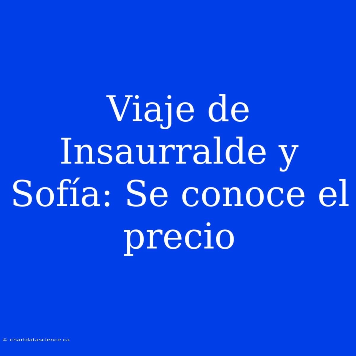 Viaje De Insaurralde Y Sofía: Se Conoce El Precio