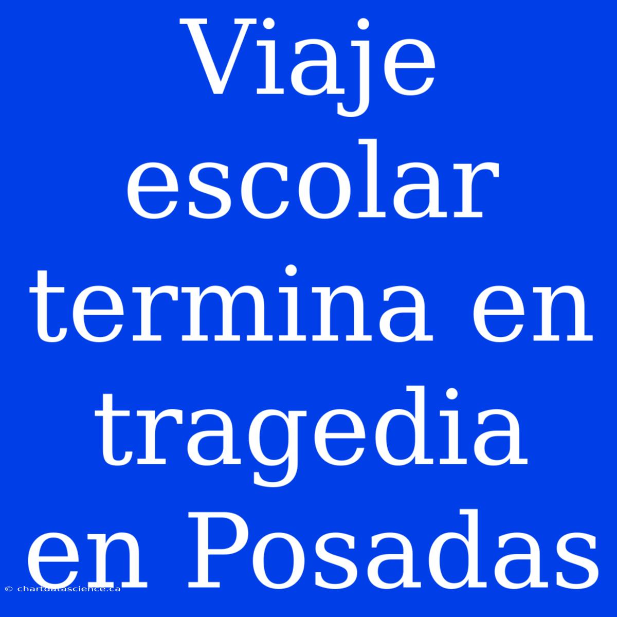 Viaje Escolar Termina En Tragedia En Posadas