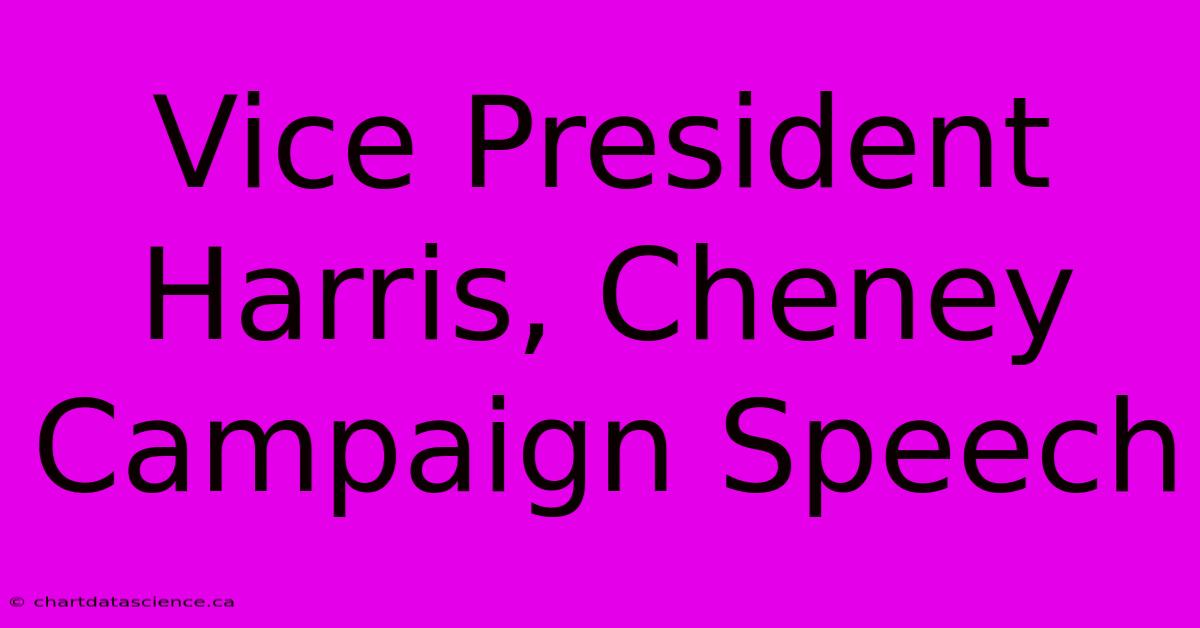 Vice President Harris, Cheney Campaign Speech