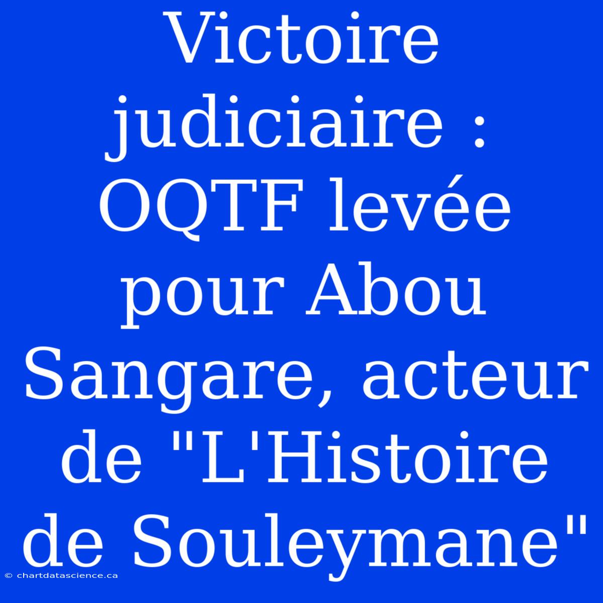 Victoire Judiciaire : OQTF Levée Pour Abou Sangare, Acteur De 