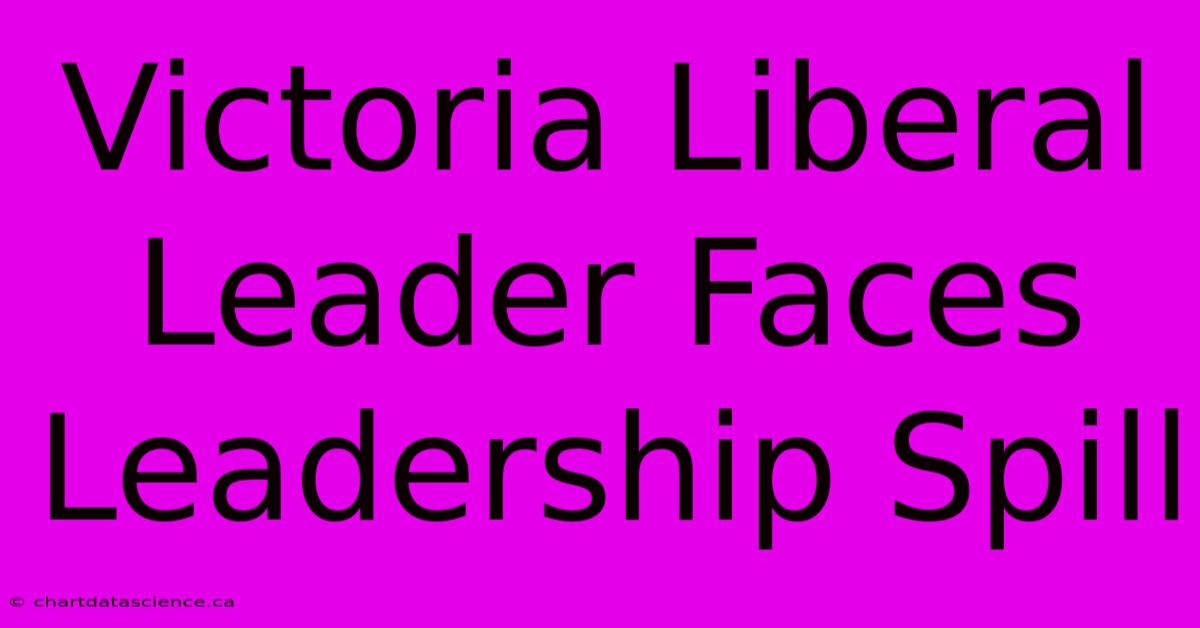 Victoria Liberal Leader Faces Leadership Spill