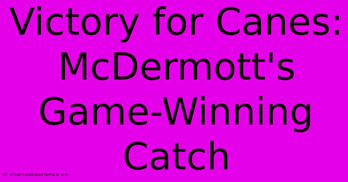 Victory For Canes: McDermott's Game-Winning Catch