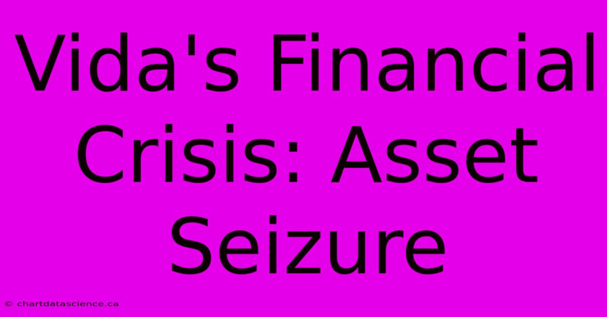 Vida's Financial Crisis: Asset Seizure