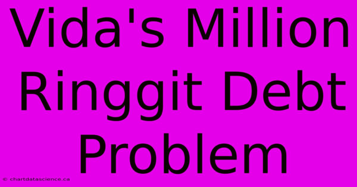 Vida's Million Ringgit Debt Problem