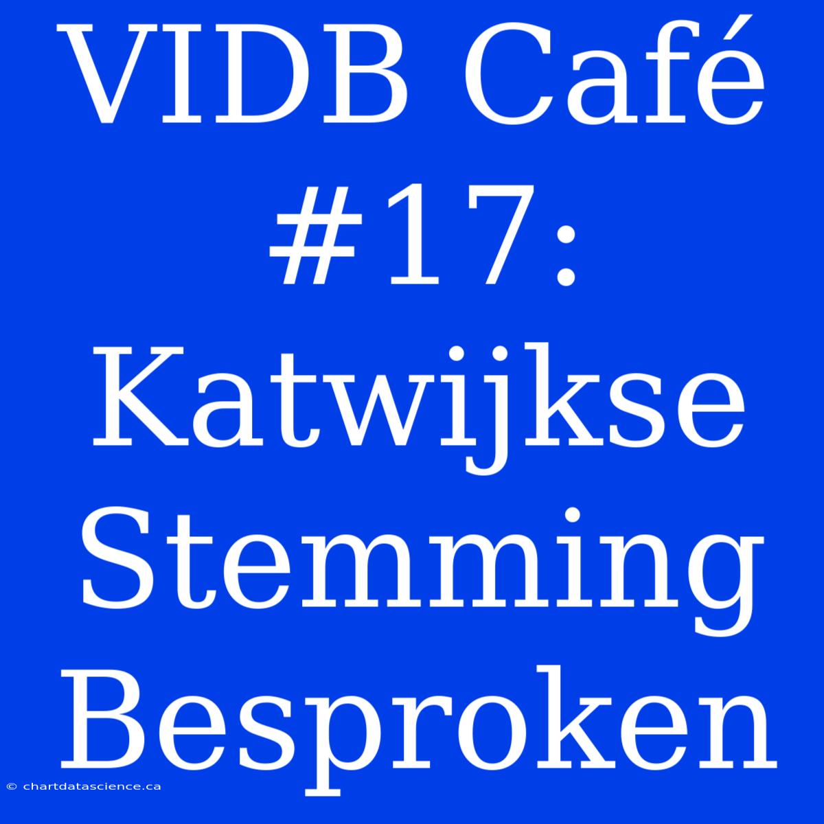 VIDB Café #17: Katwijkse Stemming Besproken