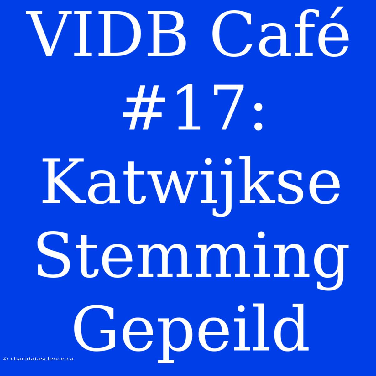 VIDB Café #17: Katwijkse Stemming Gepeild