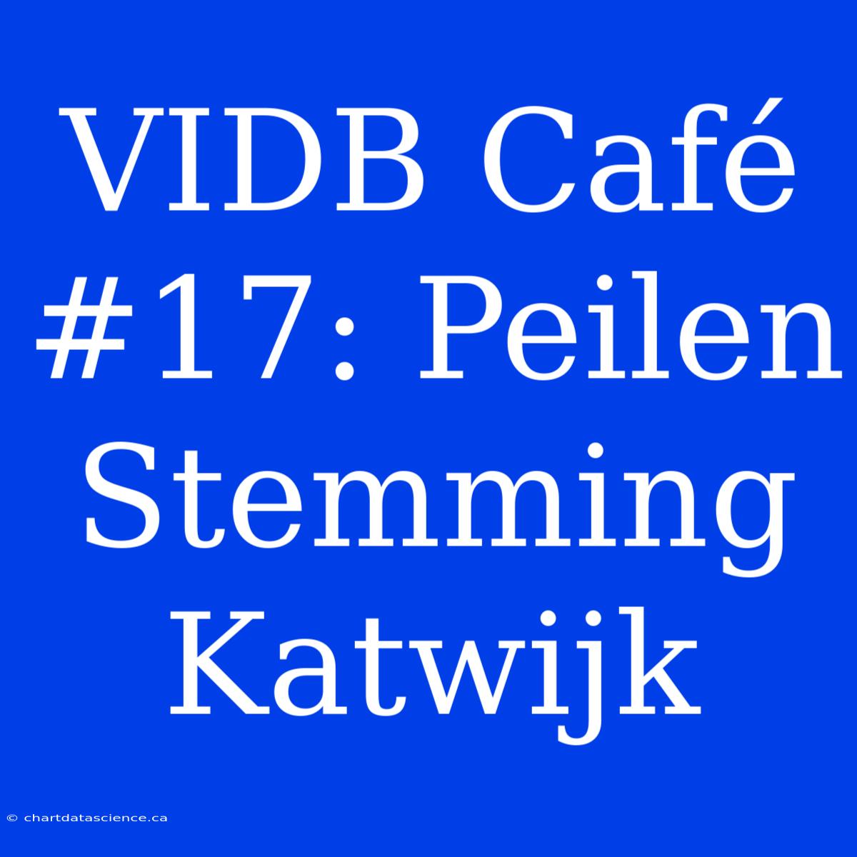 VIDB Café #17: Peilen Stemming Katwijk