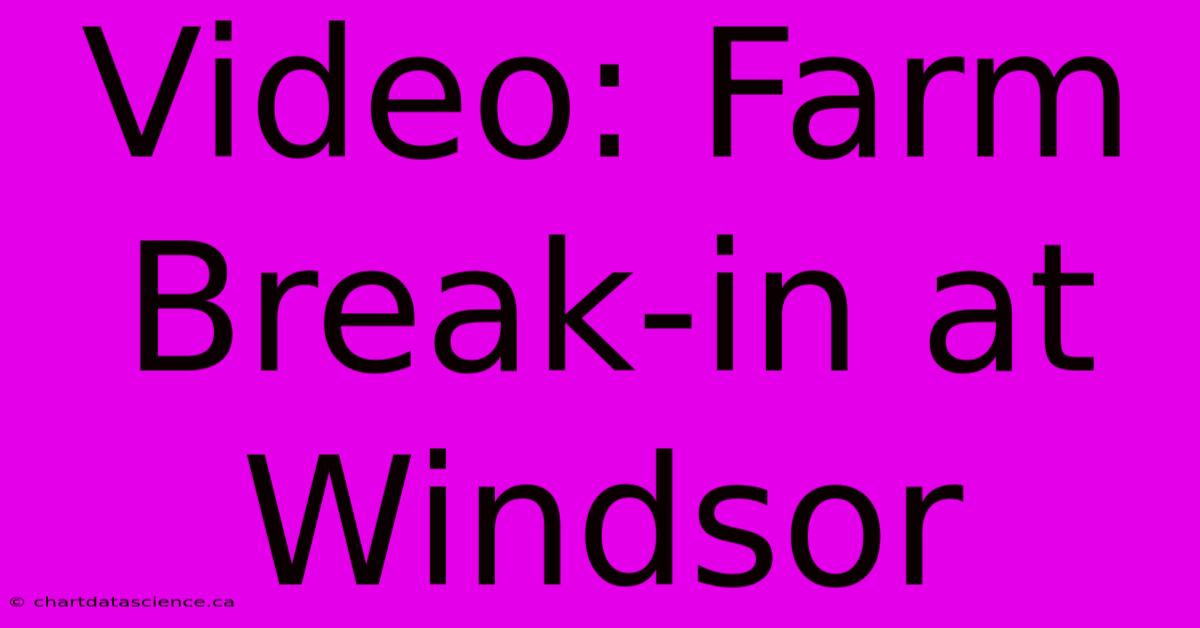 Video: Farm Break-in At Windsor