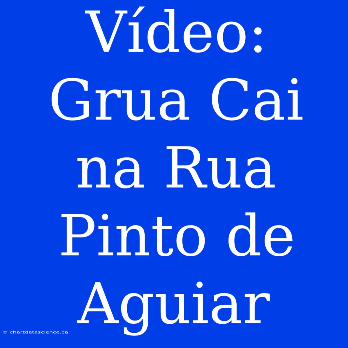 Vídeo: Grua Cai Na Rua Pinto De Aguiar