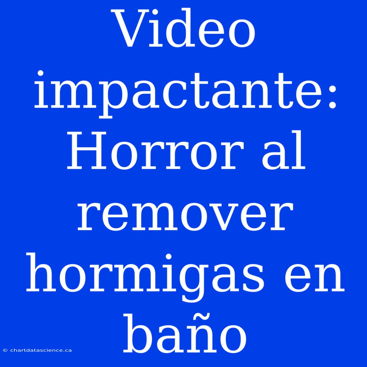 Video Impactante: Horror Al Remover Hormigas En Baño