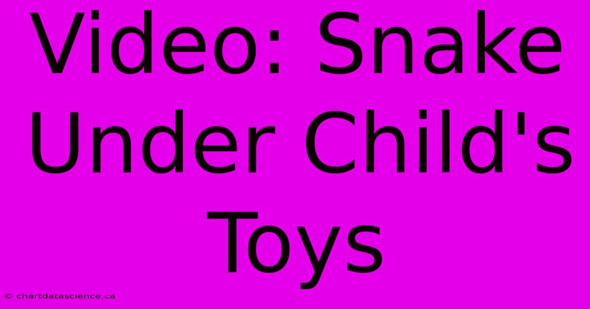 Video: Snake Under Child's Toys