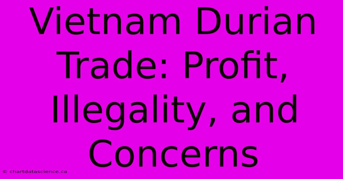 Vietnam Durian Trade: Profit, Illegality, And Concerns