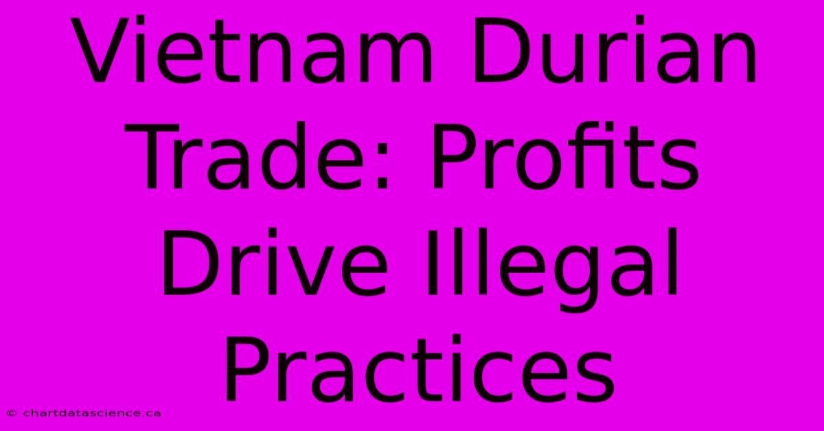 Vietnam Durian Trade: Profits Drive Illegal Practices