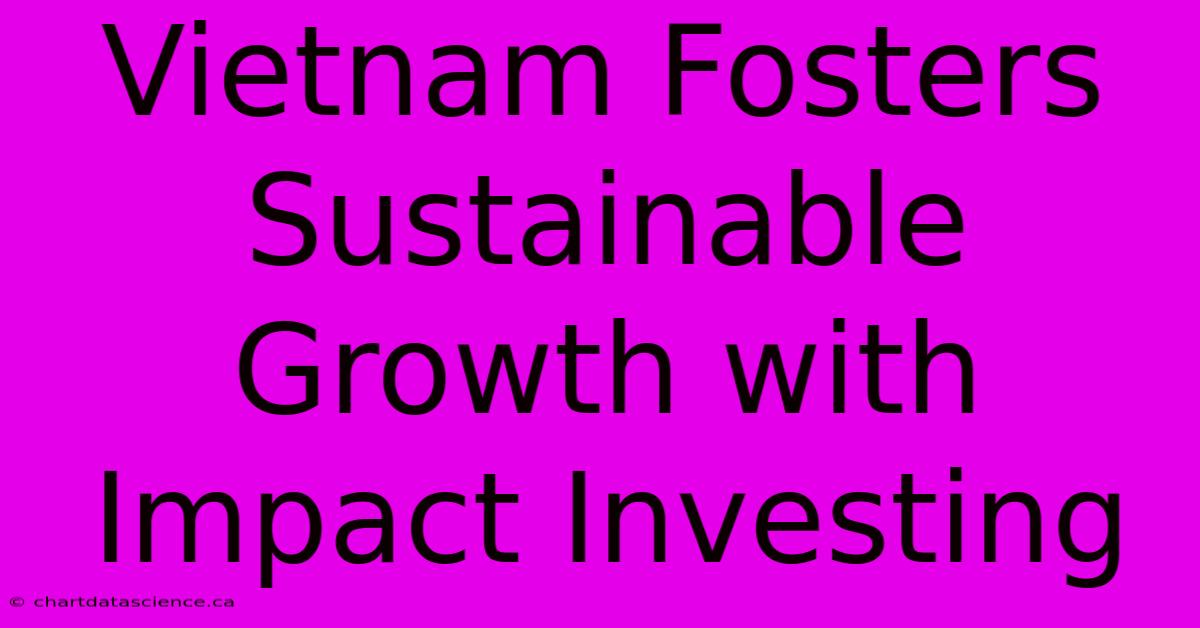 Vietnam Fosters Sustainable Growth With Impact Investing