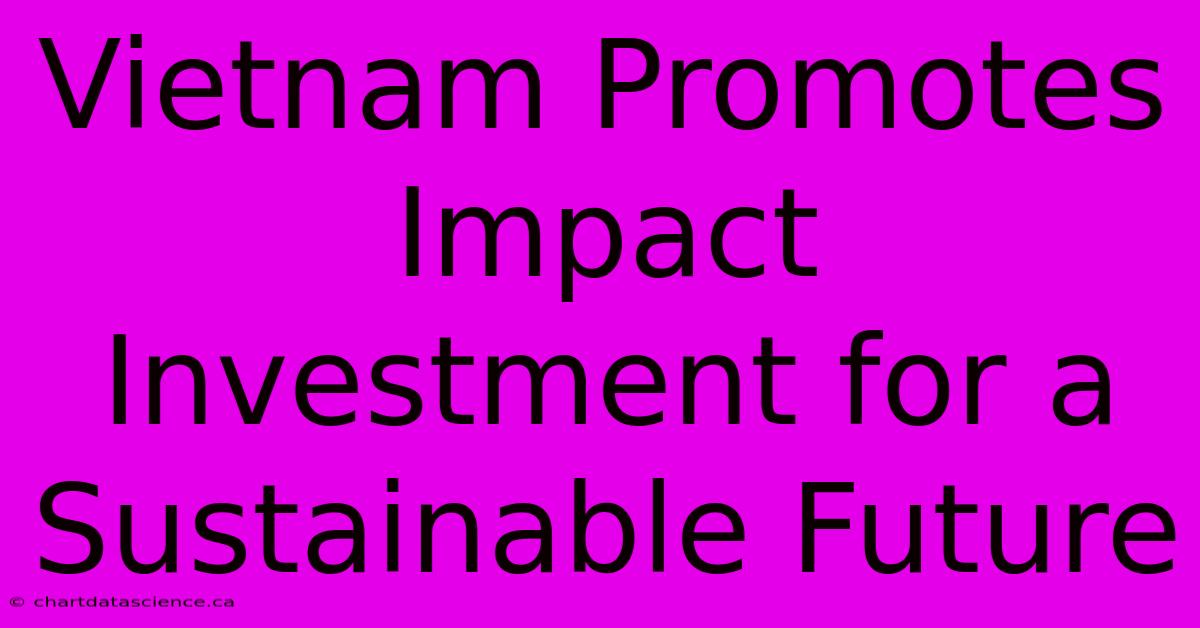 Vietnam Promotes Impact Investment For A Sustainable Future