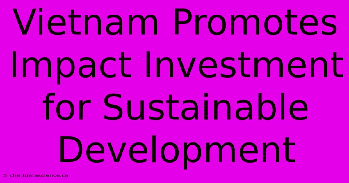 Vietnam Promotes Impact Investment For Sustainable Development