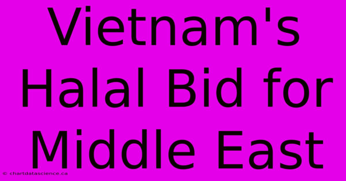 Vietnam's Halal Bid For Middle East