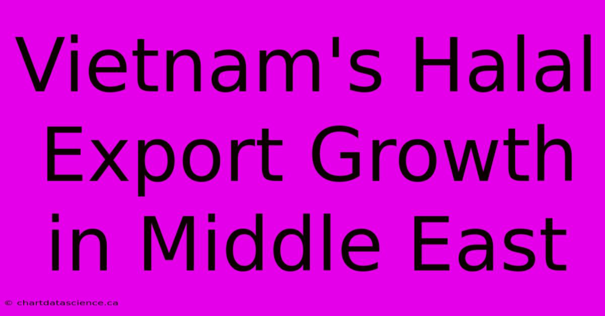 Vietnam's Halal Export Growth In Middle East