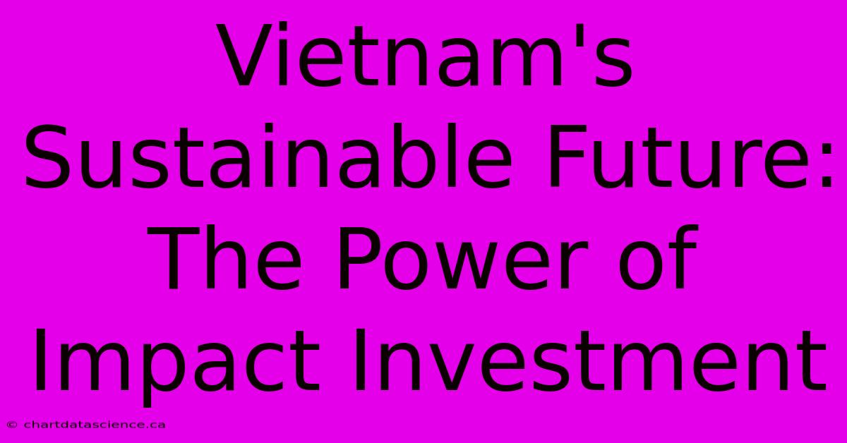 Vietnam's Sustainable Future: The Power Of Impact Investment