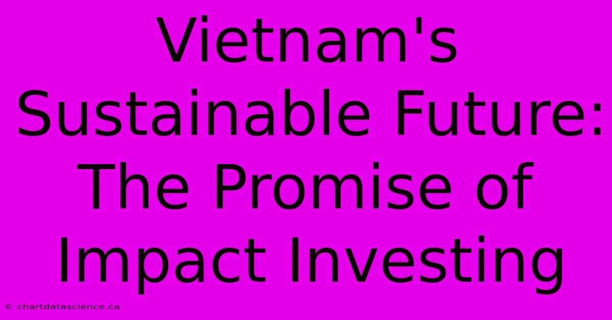 Vietnam's Sustainable Future: The Promise Of Impact Investing 