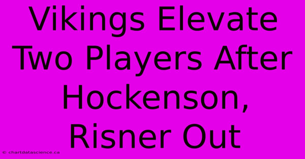 Vikings Elevate Two Players After Hockenson, Risner Out