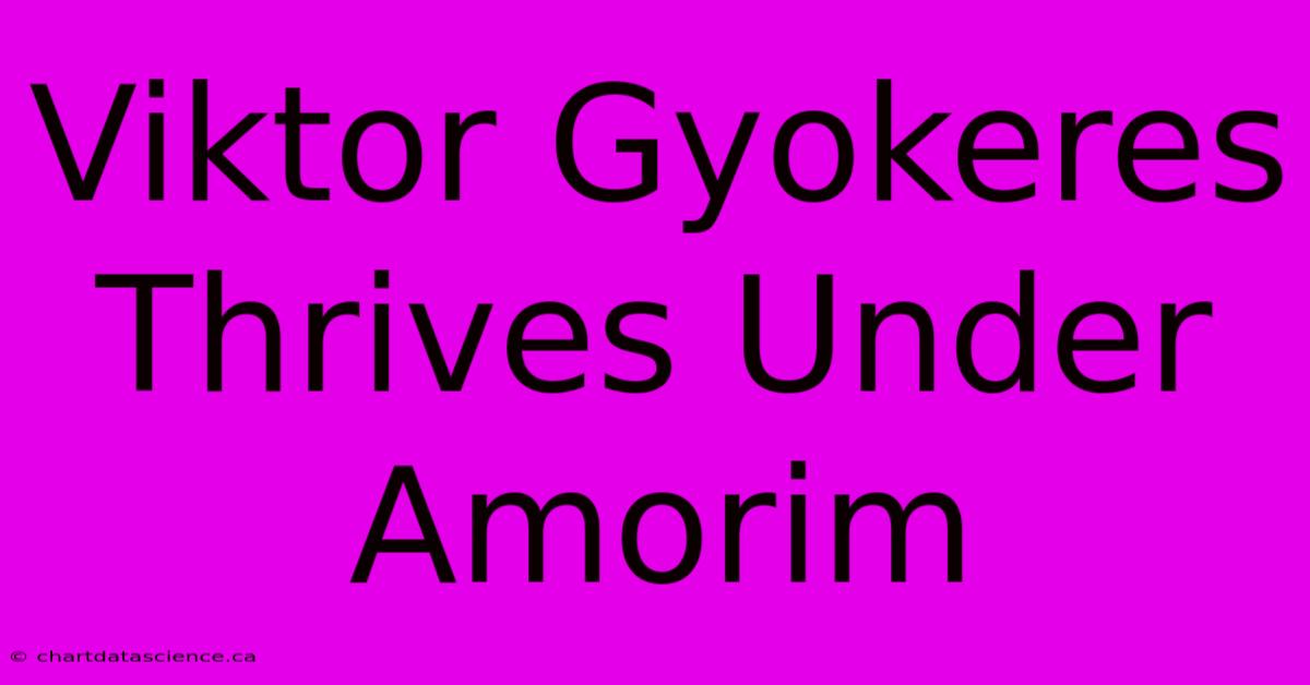 Viktor Gyokeres Thrives Under Amorim