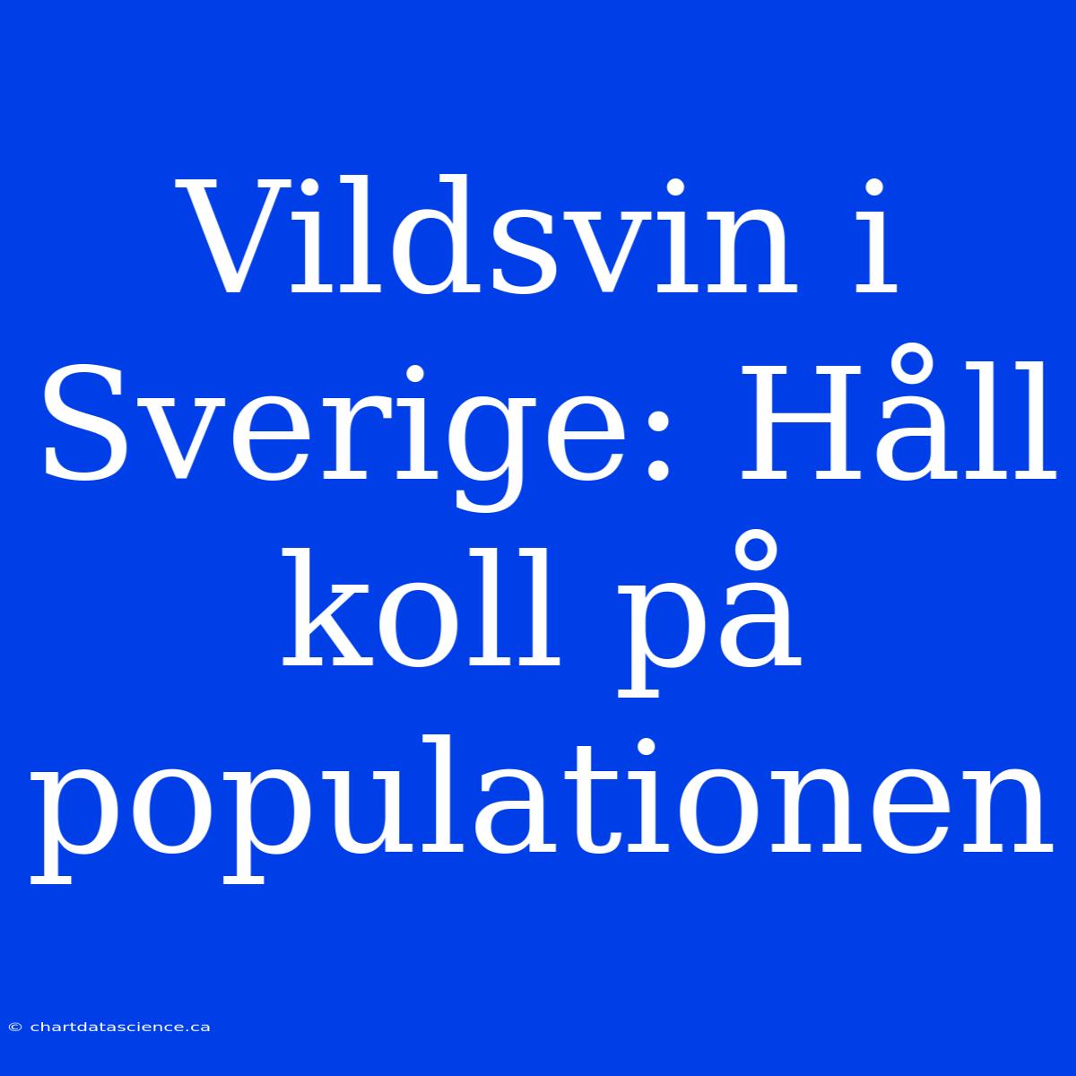 Vildsvin I Sverige: Håll Koll På Populationen