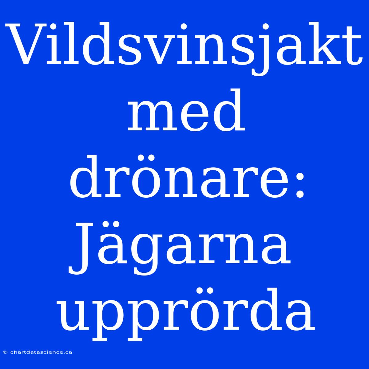 Vildsvinsjakt Med Drönare:  Jägarna Upprörda