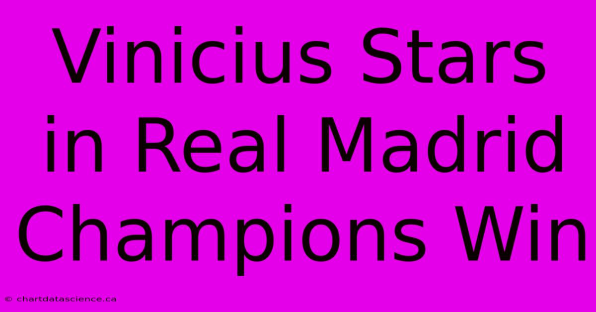 Vinicius Stars In Real Madrid Champions Win 