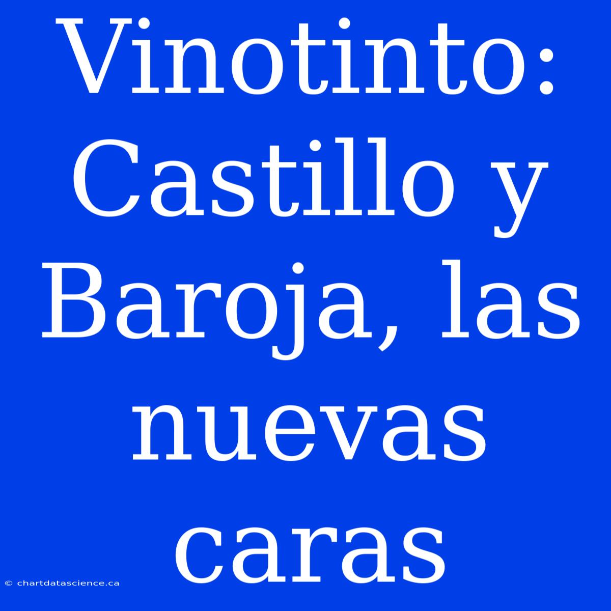 Vinotinto: Castillo Y Baroja, Las Nuevas Caras