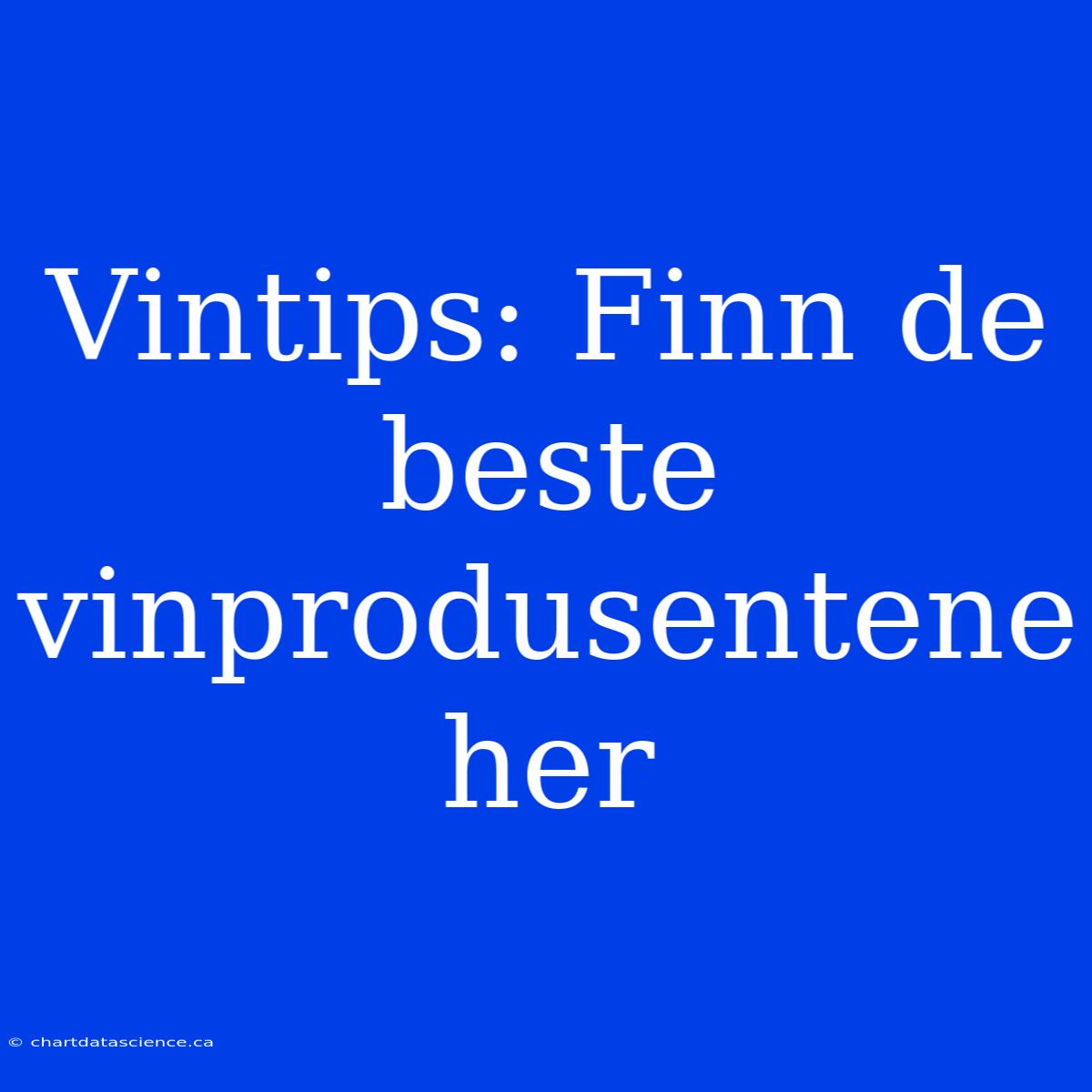 Vintips: Finn De Beste Vinprodusentene Her