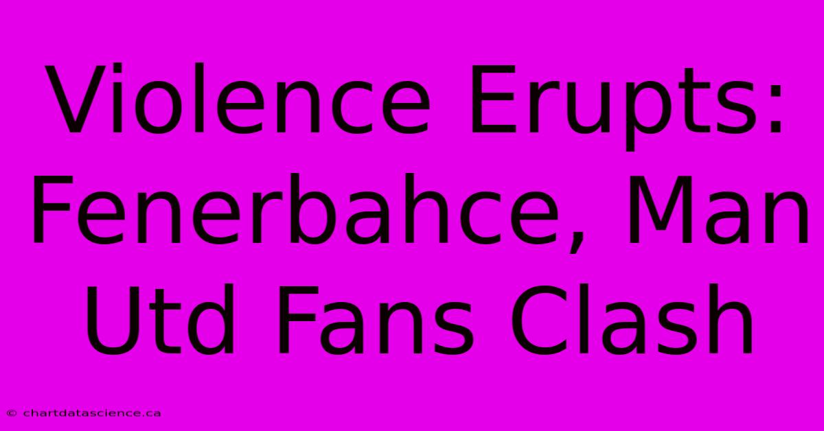 Violence Erupts: Fenerbahce, Man Utd Fans Clash 