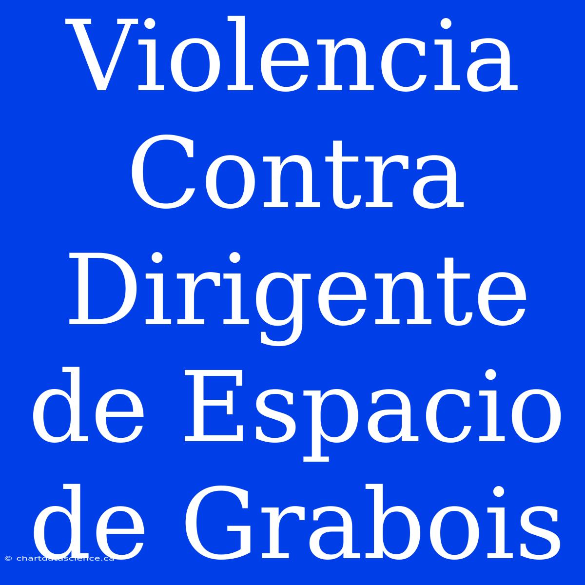 Violencia Contra Dirigente De Espacio De Grabois