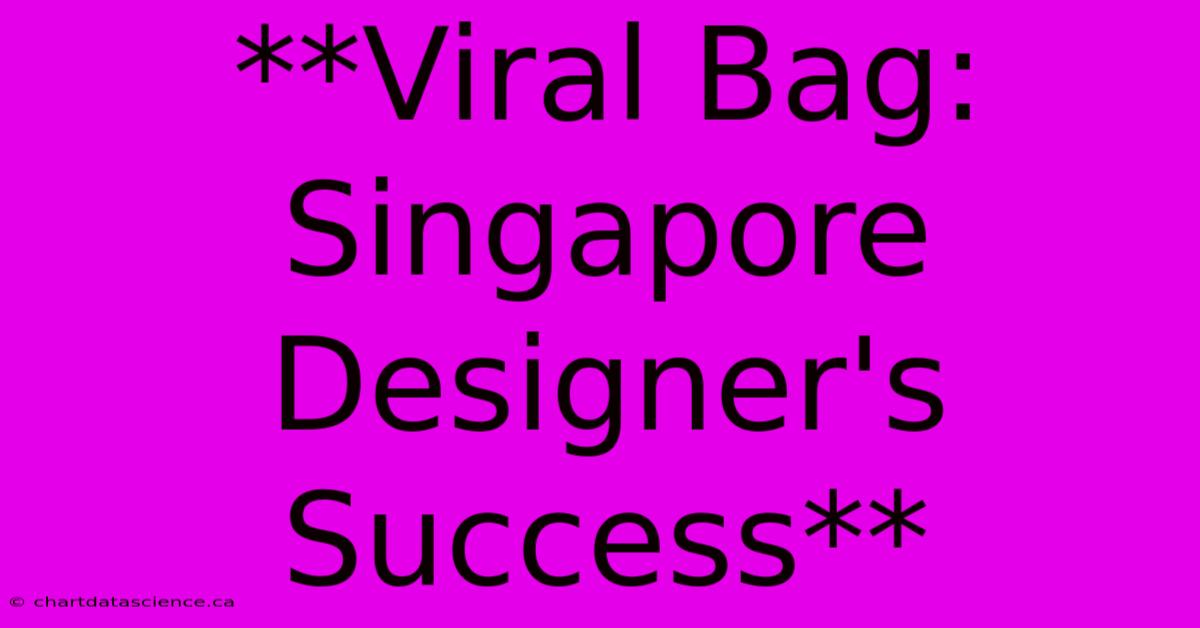 **Viral Bag: Singapore Designer's Success**