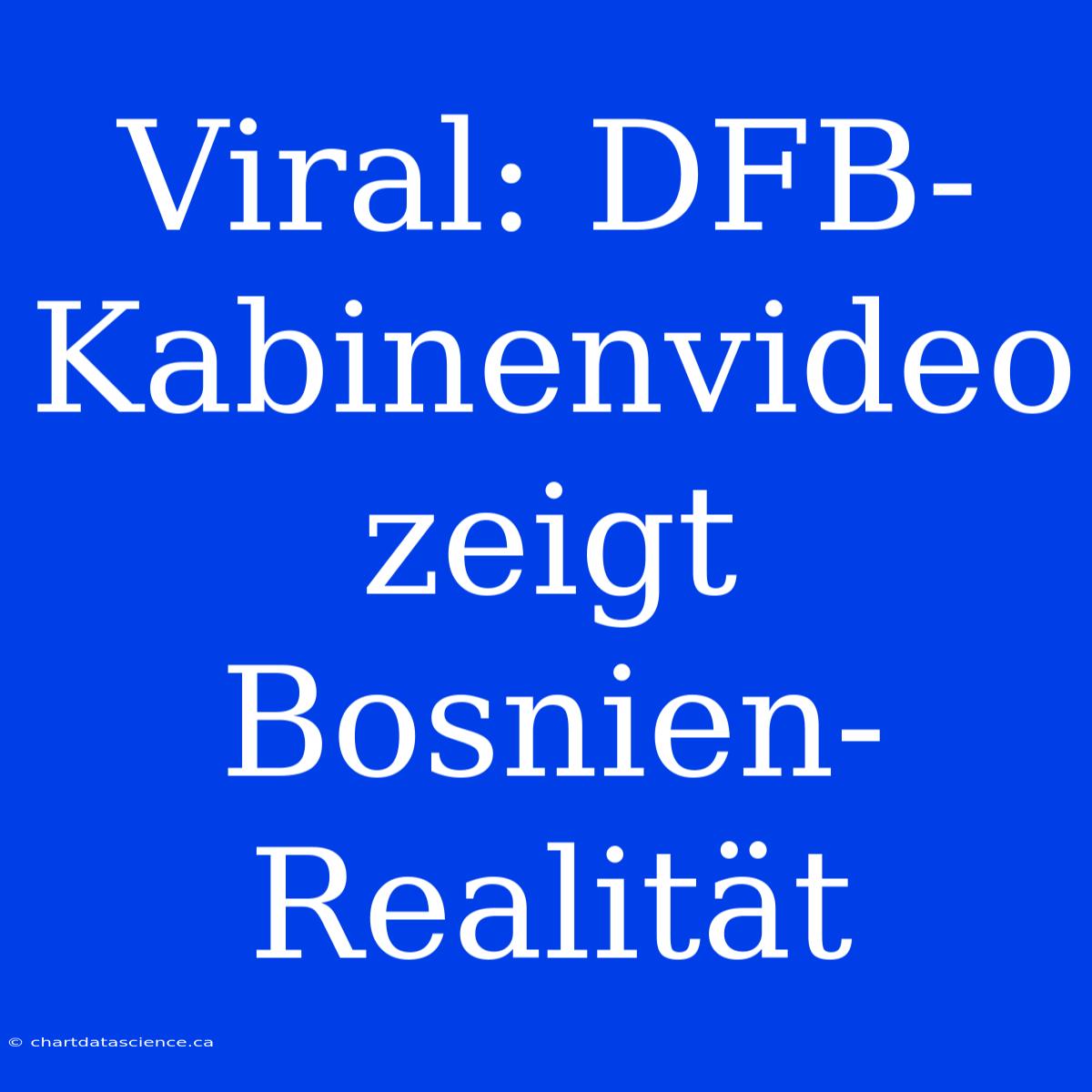 Viral: DFB-Kabinenvideo Zeigt Bosnien-Realität