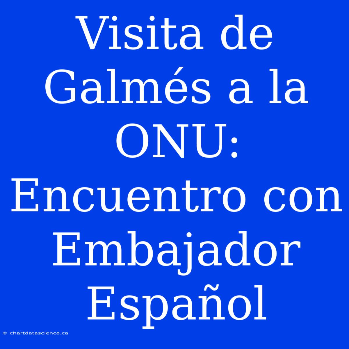 Visita De Galmés A La ONU: Encuentro Con Embajador Español