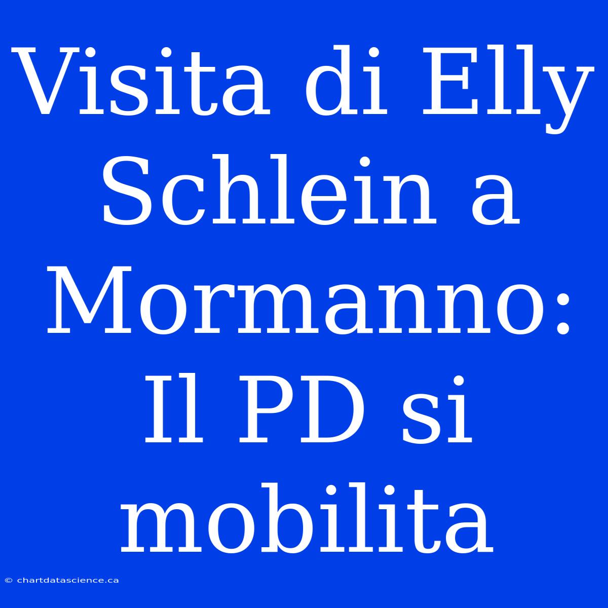 Visita Di Elly Schlein A Mormanno: Il PD Si Mobilita